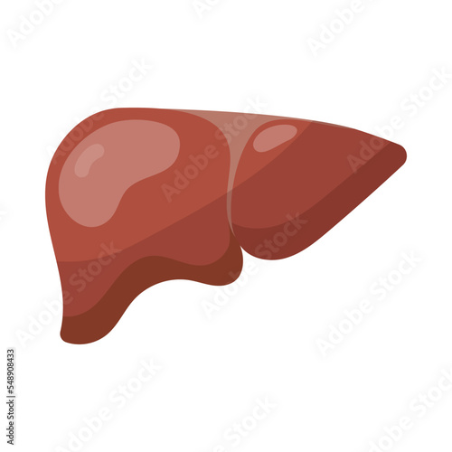 Liver of patient with fibrosis or hepatitis cartoon illustration. Liver with disease symptoms, internal human organ isolated on white background. Biology, medicine, health concept