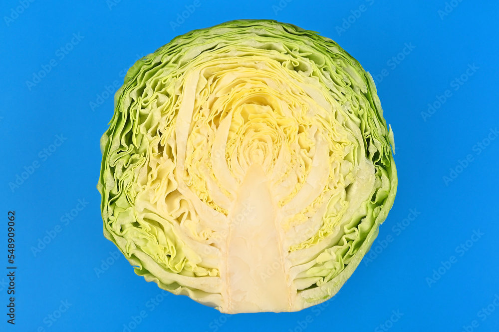 Obraz premium Cabbage cross section on blue background
