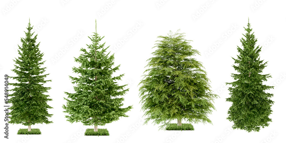 Fototapeta premium set of trees isolated on white