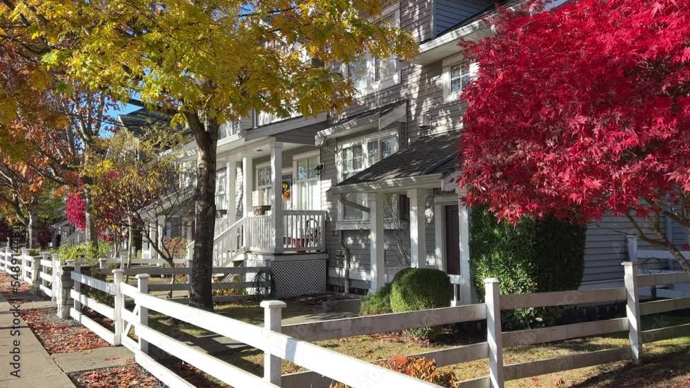 Autumn in Canada bright yellow leaves and red maple tree Beautiful white houses Alley leading into the distance white fence There is a place for text travel advertising Relaxation and rest Surrey Autumn in Canada bright yellow leaves and red maple tree Beautiful white houses Alley leading into the distance white fence There is a place for text travel advertising Relaxation and rest Surrey