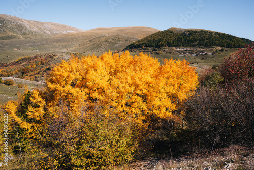 colorful autumn foliage in Campo Imperatore
