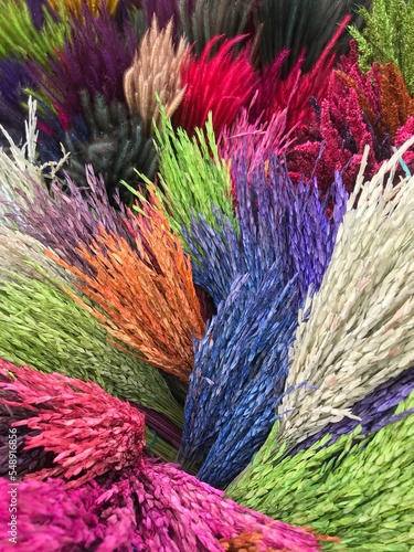 Dried rice flower for home decor, colorful dried flowers for decoration