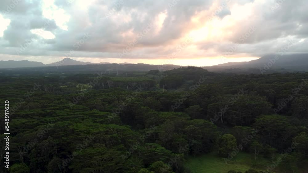 Cinematic aerial view revealing lush green rainforest, rivers and green mountains with sunset clouds. Epic cinematic nature aerial view of rainforest Tropical jungle of Kauai island, Hawaii, USA.. Cinematic aerial view revealing lush green rainforest, rivers and green mountains with sunset clouds. Epic cinematic nature aerial view of rainforest Tropical jungle of Kauai island, Hawaii, USA..