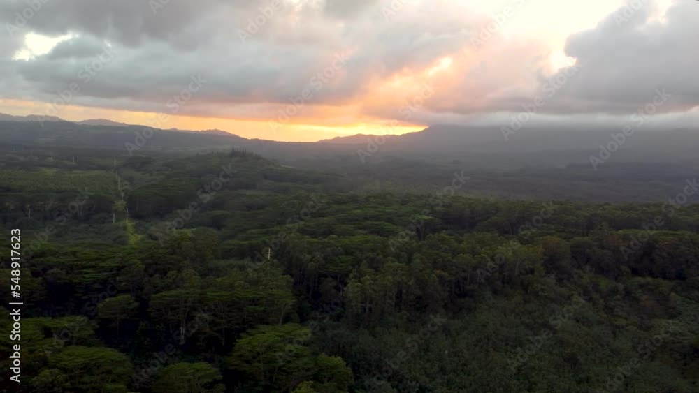 Dramatic aerial flyover revealing lush green rainforest, rivers, mountains and streams during sunset with yellow clouds. Epic cinematic nature aerial view of Rainforest Tropical jungle of Kauai. Dramatic aerial flyover revealing lush green rainforest, rivers, mountains and streams during sunset with yellow clouds. Epic cinematic nature aerial view of Rainforest Tropical jungle of Kauai.