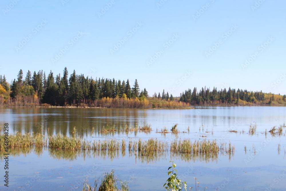 Fototapeta premium lake in autumn