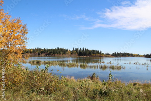 lake in the forest, Elk Island National Park, Alberta