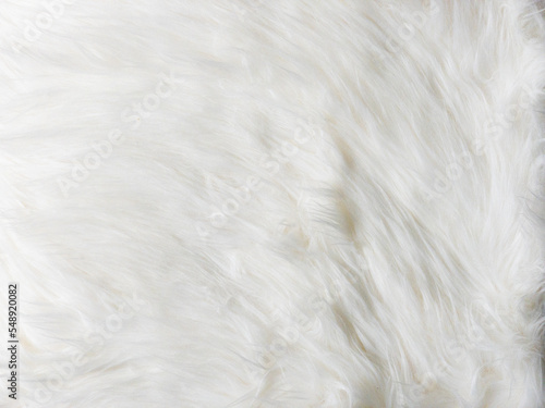 Smooth white fur texture for background