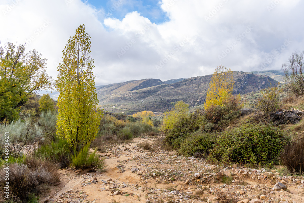 Madrid area known as the Ponton de la Oliva where there is an abandoned and disused reservoir since 1880 Madrid area known as the Ponton de la Oliva where there is an abandoned and disused reservoir since 1880