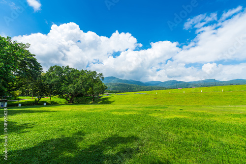 beautiful landscape green grass with in nature forest Mountain views spring with air atmosphere bright blue sky background abstract clear background texture with white clouds.
