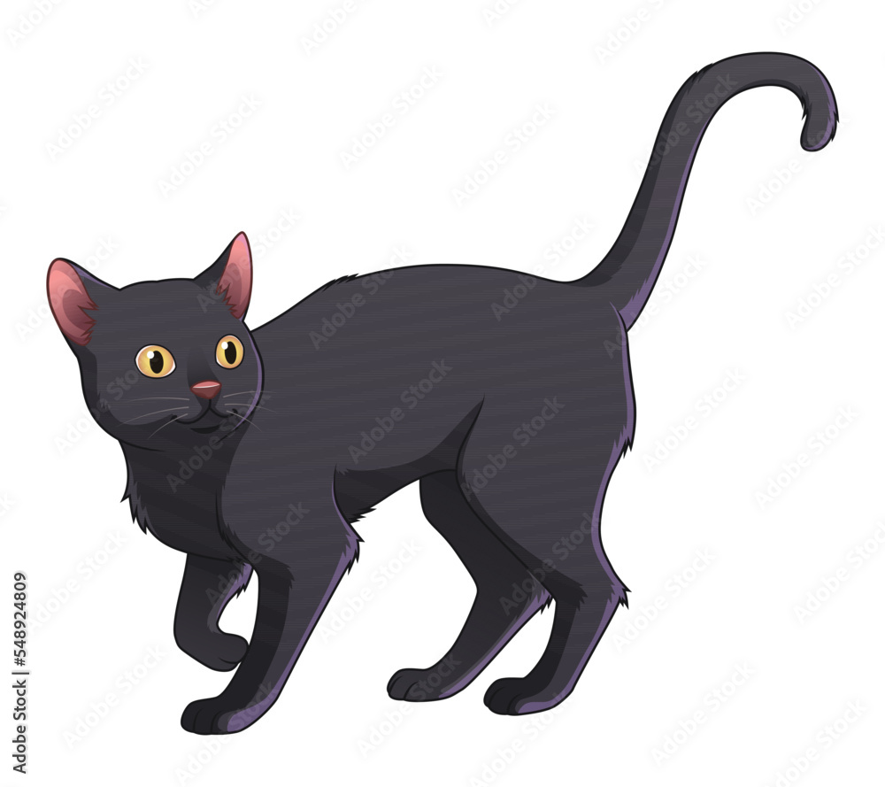 Bombay Cat Cartoon Animal Illustration