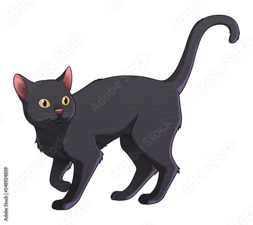 Bombay Cat Cartoon Animal Illustration