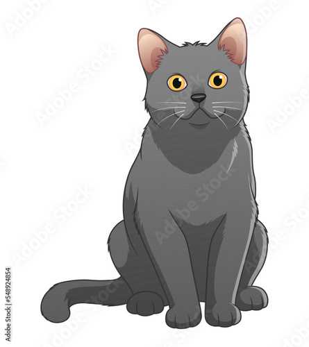 British Shorthair Cat Cartoon Animal Illustration