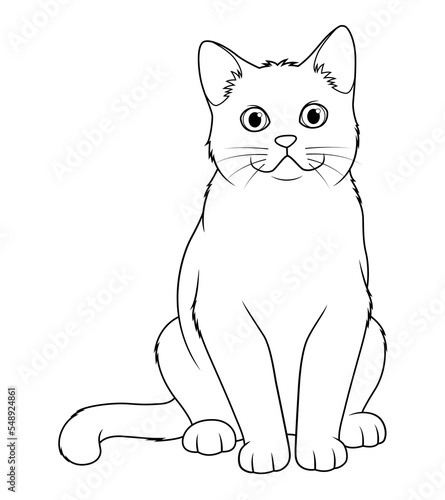 British Shorthair Cat Cartoon Animal Illustration BW