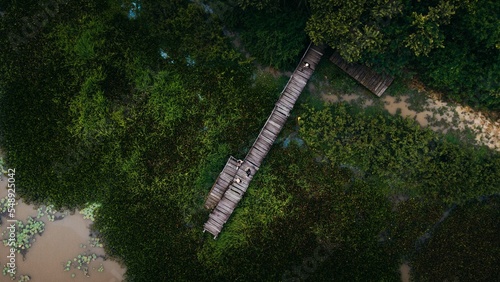 wooden bridge in the forest