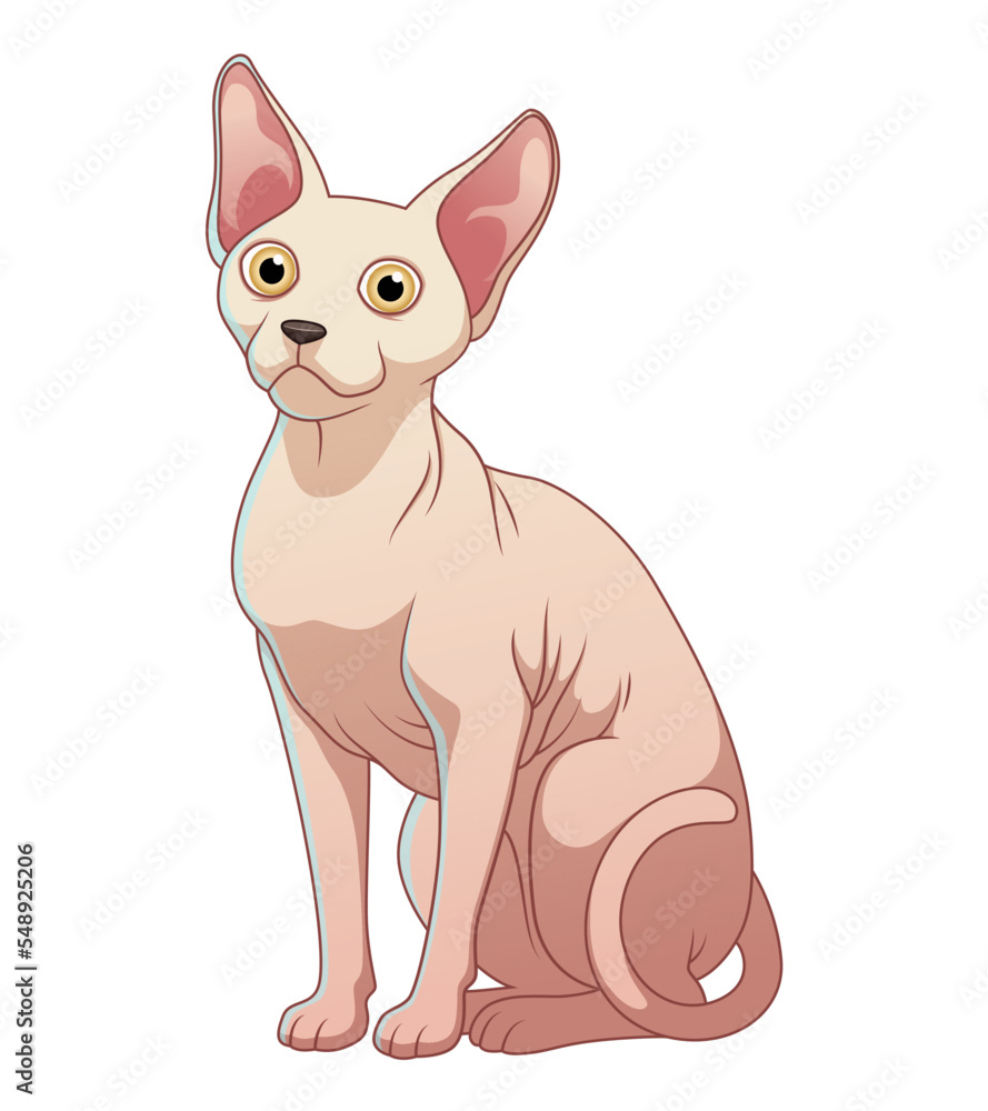 Sphynx Cat Cartoon Animal Illustration