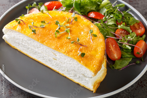 Healthy diet omelet, poulard omelette closeup on the plate on the dark background. Horizontal photo