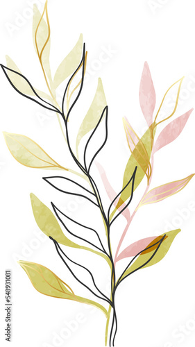 Watercolor leaf branch gold line art