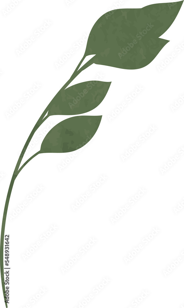 Obraz premium Green watercolor leaf branch illustration