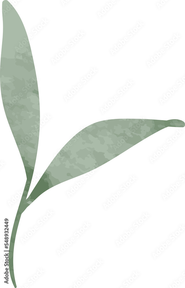 Obraz premium Watercolor leaf branch illustration
