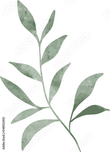 Watercolor leaf branch illustration © TWINS DESIGN STUDIO