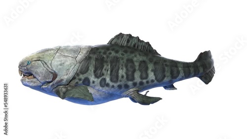 3D Rendered Animation of a Dunkleosteus swimming photo