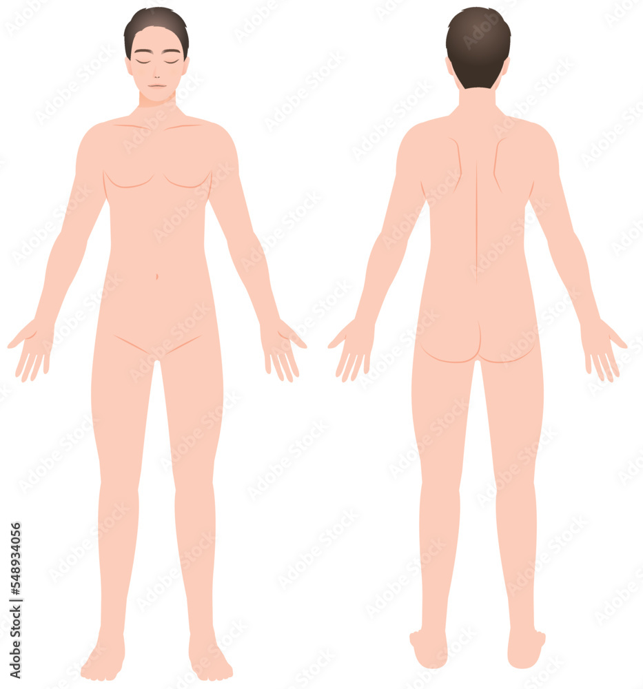 男性の裸体全身図 正面と背面 イラスト 脱毛/エステ/ダイエット 男性の裸体全身図 正面と背面 イラスト 脱毛/エステ/ダイエット