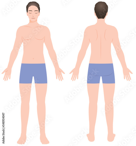 男性の全身図 正面と背面 イラスト 脱毛/エステ/ダイエット