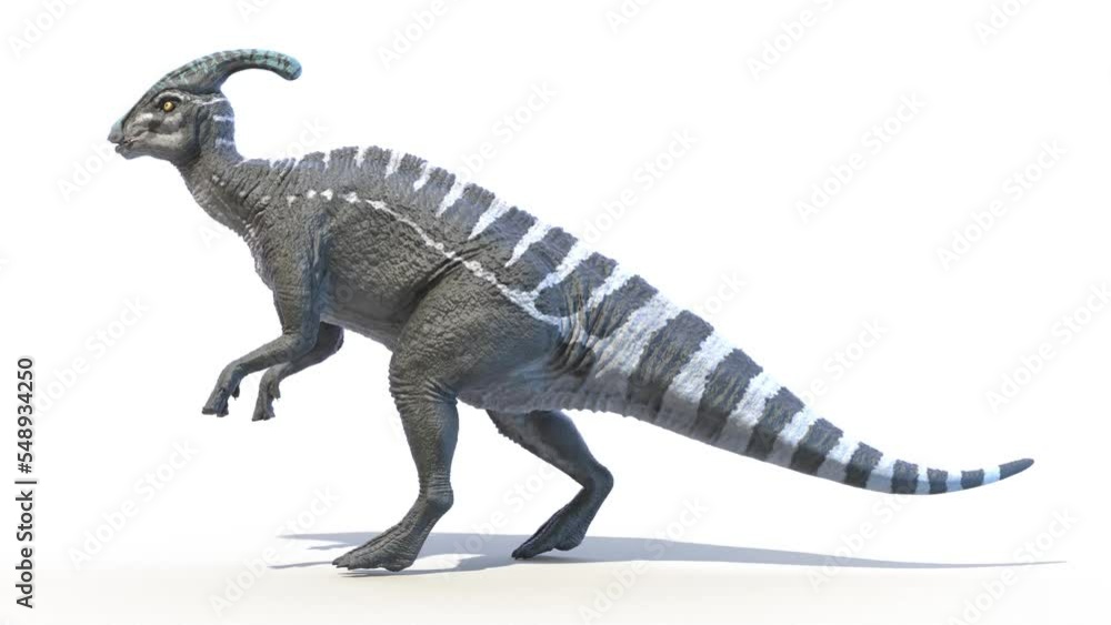 3D Rendered Animation of a Parasaurolophus walking 3D Rendered Animation of a Parasaurolophus walking