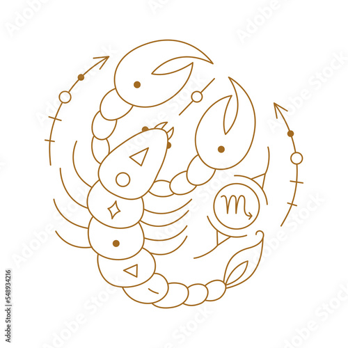 Scorpio zodiac astrology horoscope stylized sign thin line. Scorpion symbol of esoteric, zodiacal astrological calendar, horoscope constellation vector illustration