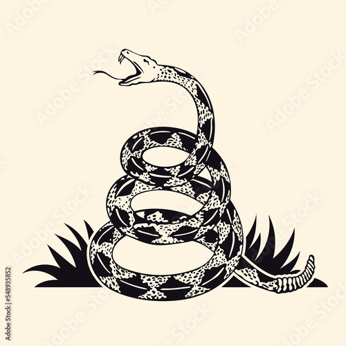 Dont tread on me flag. Rattlesnake illustration. 