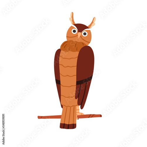 Cute owl sitting on tree branch, twig. Funny bird, feathered animal back with...