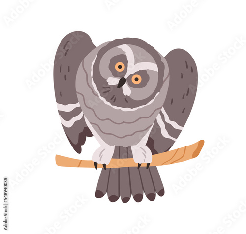 Cute curious owl looking with big bulging eyes. Funny night bird sitting on b...