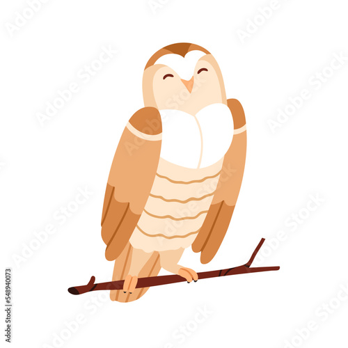 Cute owl sitting on tree branch. Funny adorable feathered bird on twig. Amusi...