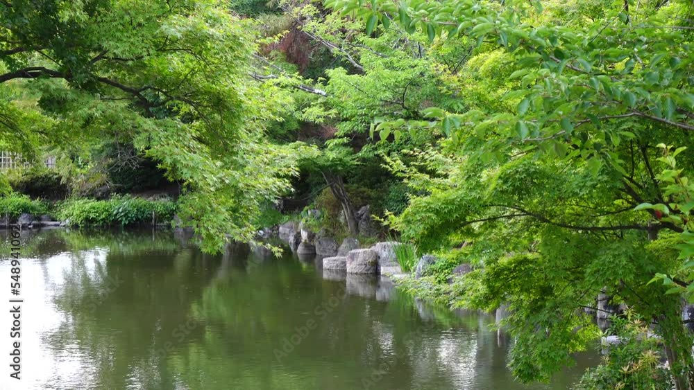 Scenery of ancient garden in Kyoto, Japan. Scenery of ancient garden in Kyoto, Japan.