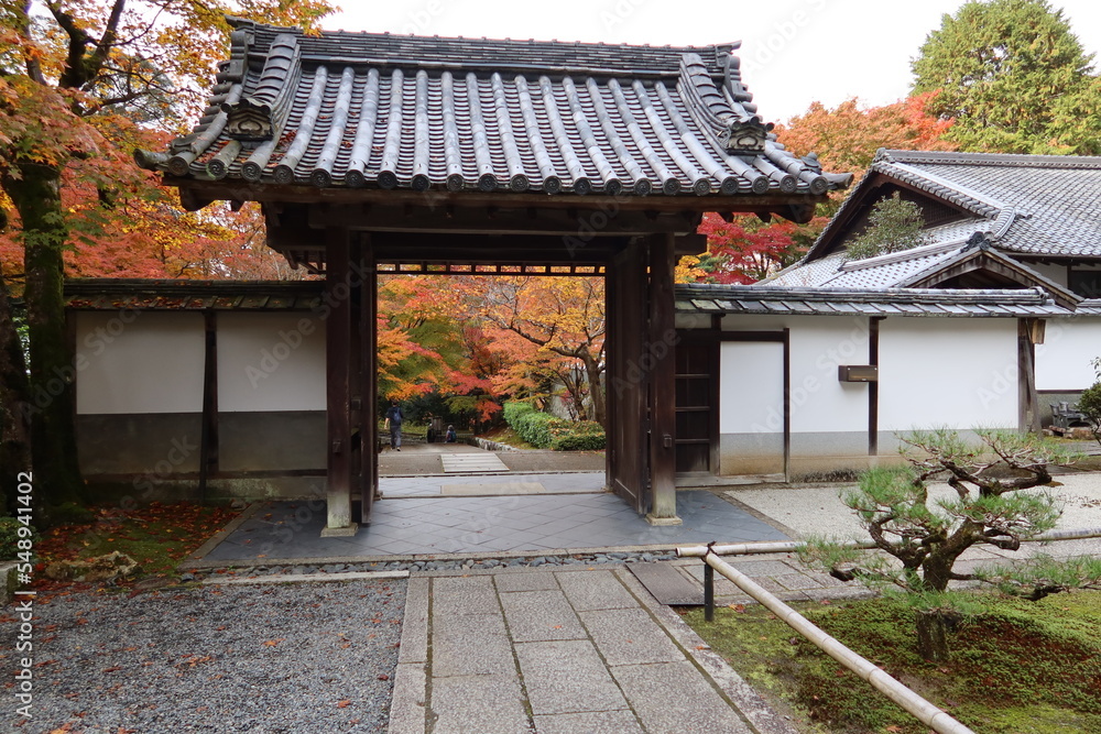 Fototapeta premium A Japanese temple : the scene of an entrance to the precincts of Saisho-in Subordinate Temple in the precincts of Nanzen-ji Temple in Kyoto City 日本のお寺：京都市の南禅寺境内にある塔頭最勝院入り口の風景