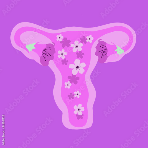 Vector isolated illustration of stylized female uterus.