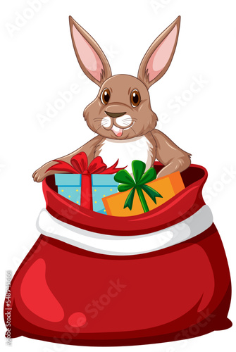 Rabbit cartoon character with gift bag
