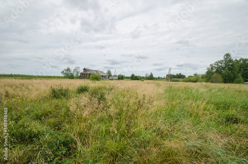 Abandoned wooden houses in the Russian village. grassy street