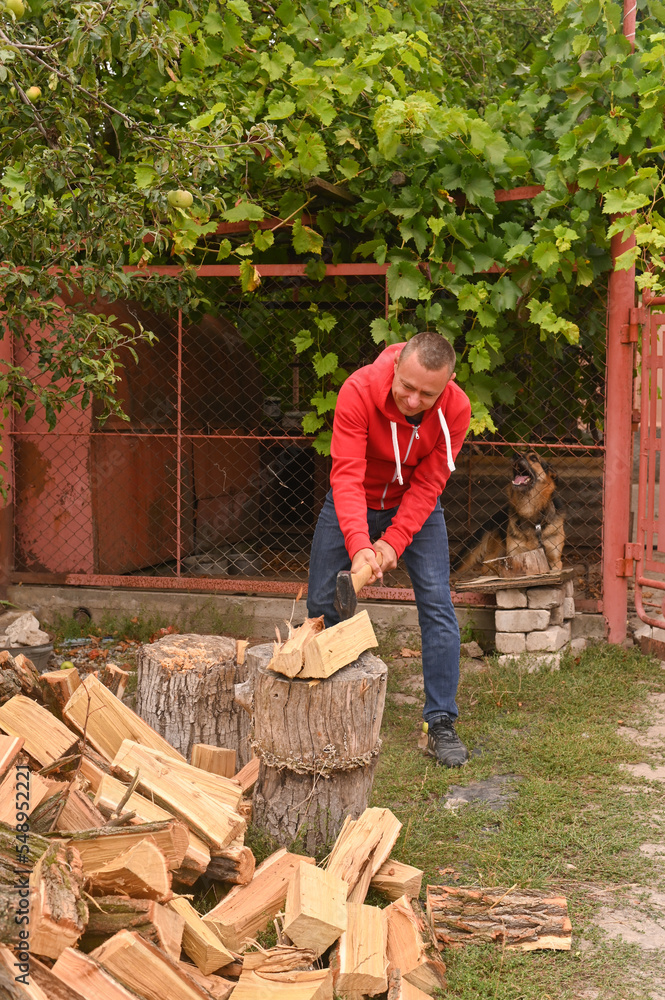 a man is chopping wood. alternative sources of heating. a man is chopping wood. alternative sources of heating.