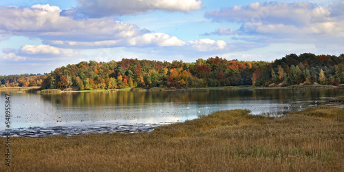 Autumn. Panoramic of autumn landscape on the lake eastern Europe.