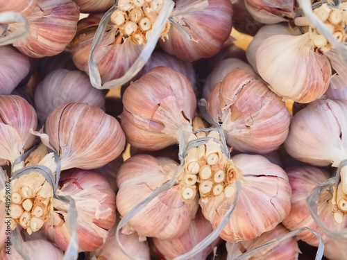 Fresh raw garlic bulbs in strands with ribbons