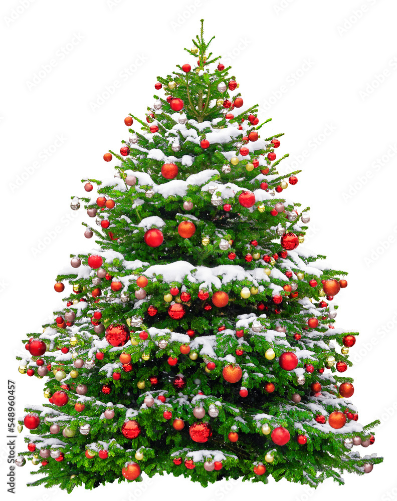 Beautiful Christmas tree decorated with red balls. Snowy Christmas tree wit red star isolated - obrazy, fototapety, plakaty 