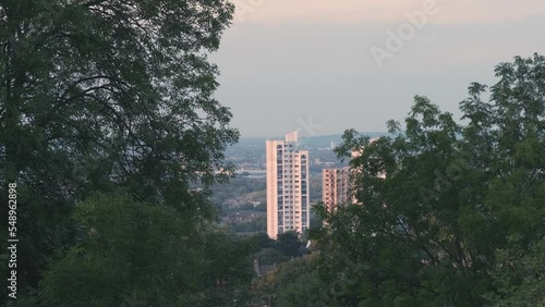 Wallpaper Mural View of London Tower Block through Trees in Evening Glow with Bird Flying Across Scene Torontodigital.ca