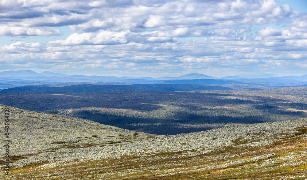 Fototapeta premium the Nature of Sonfjallet National Park
