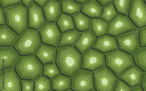 Abstract modern turtle shell seamless pattern. Animals trendy background. Green decorative vector illustration for print, fabric, textile. Modern ornament of stylized skin