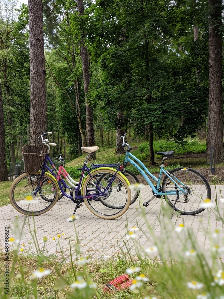 Family bicycles in the patk at summer time