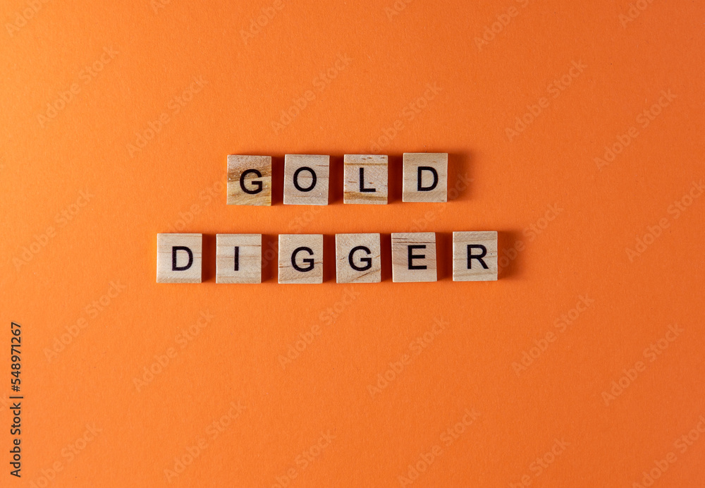 Gold digger word phrase in wooden letters. Motivation and slogan. Orange background.