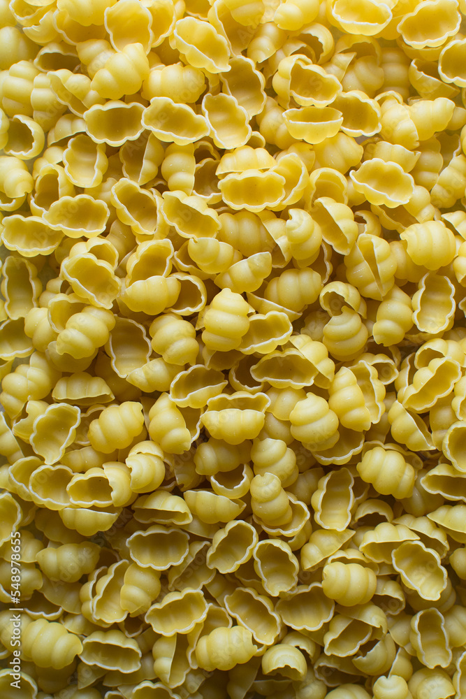 Flat lay of uncooked Gnocchetti pasta shells, top view of gnocchi pasta shells, dry uncooked macaroni	