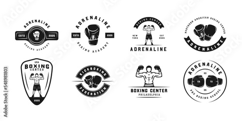 Boxing and martial arts logo badges and labels in vintage style. Motivational posters with inspirational quotes. Vector