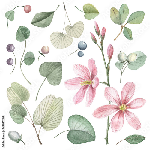 Set of watercolor hand-drawn botanical illustrations. Leaves  floral pink branch  berries isolated on white.